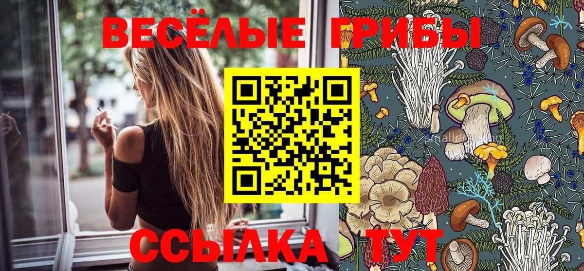 Псилоцибиновые грибы Cubensis Йошкар-Ола